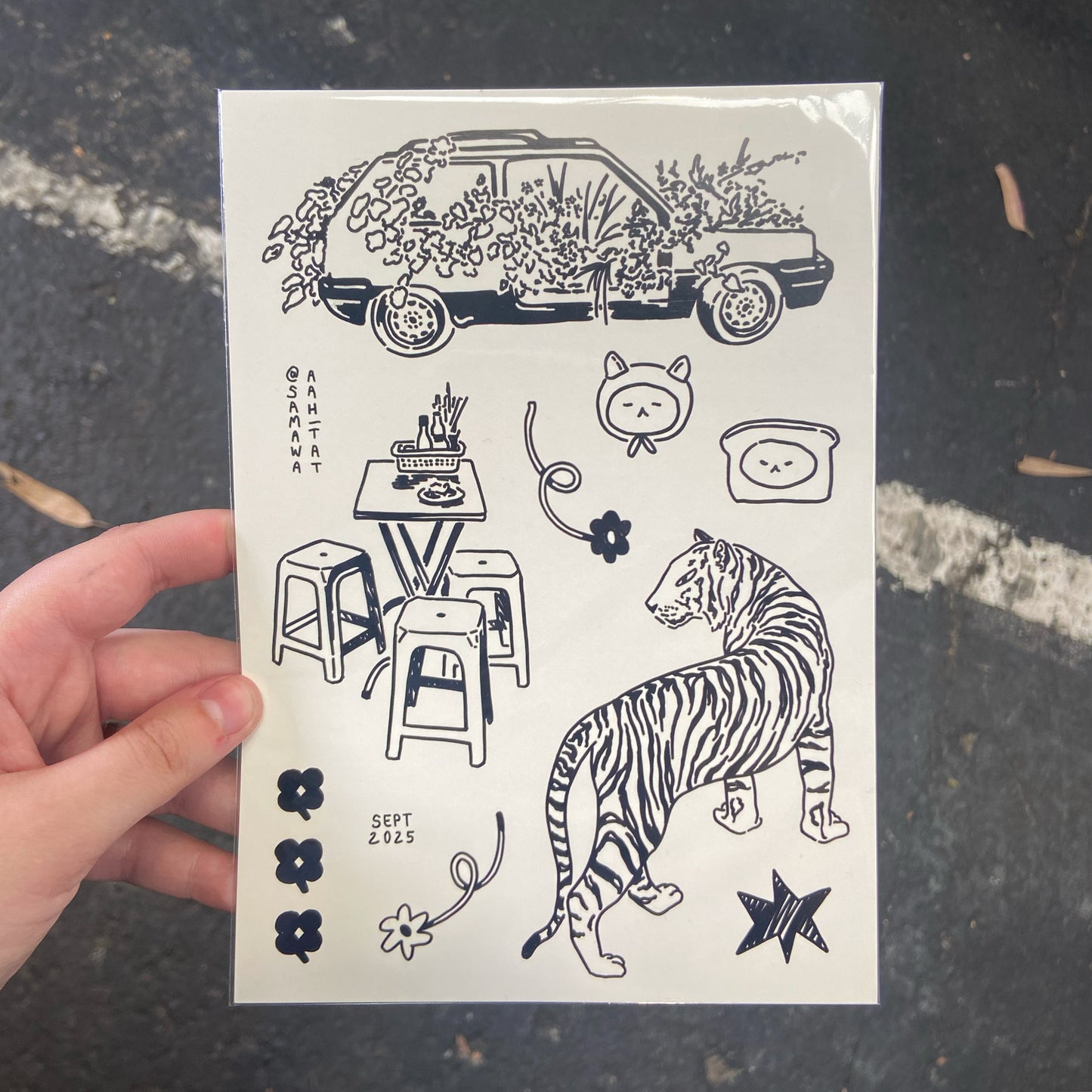 A5 Intriguing Assortment Print
