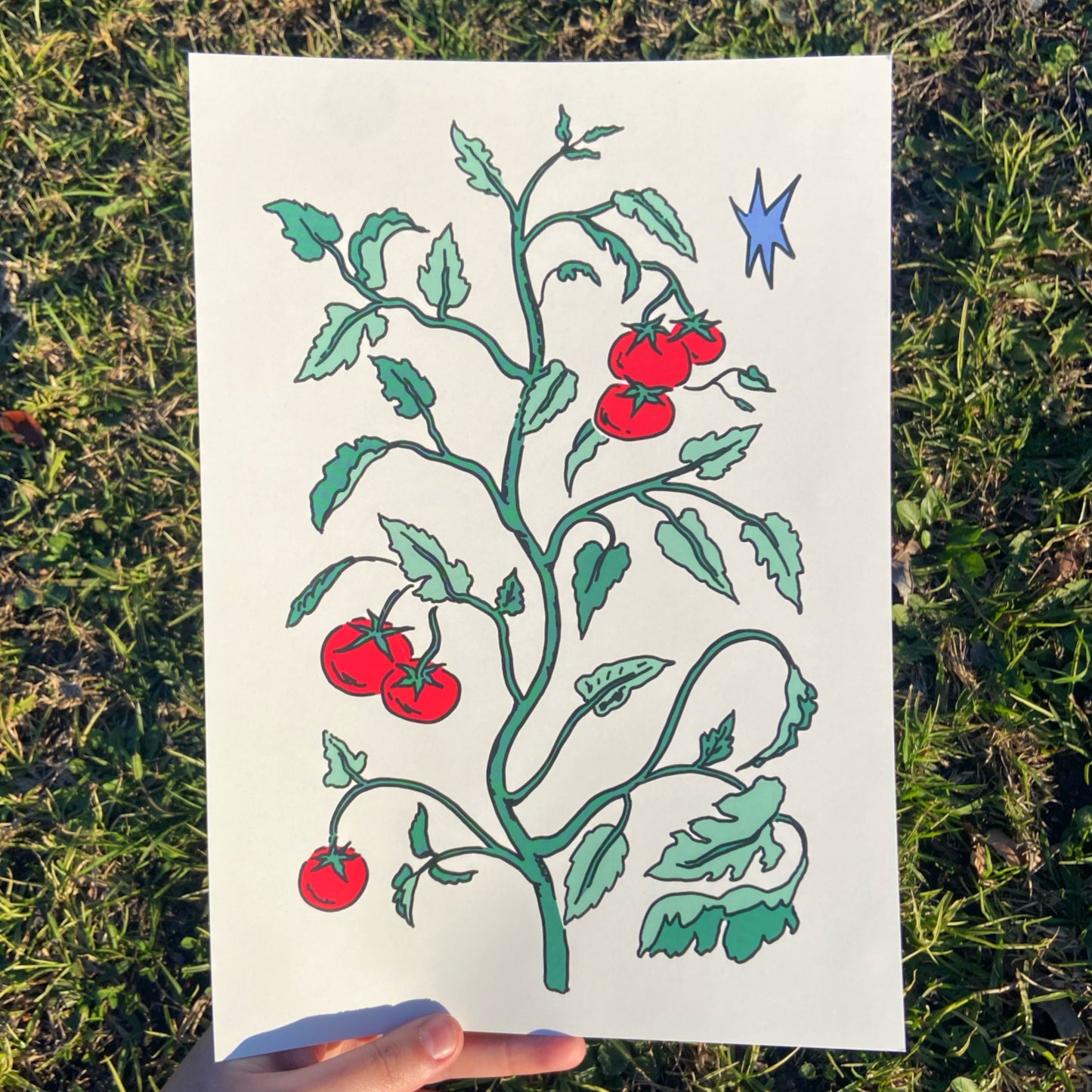 A4 Tomato Print