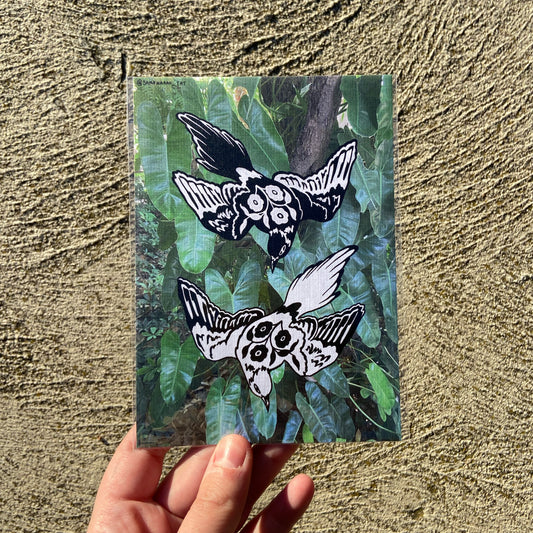 A6 Birds Print